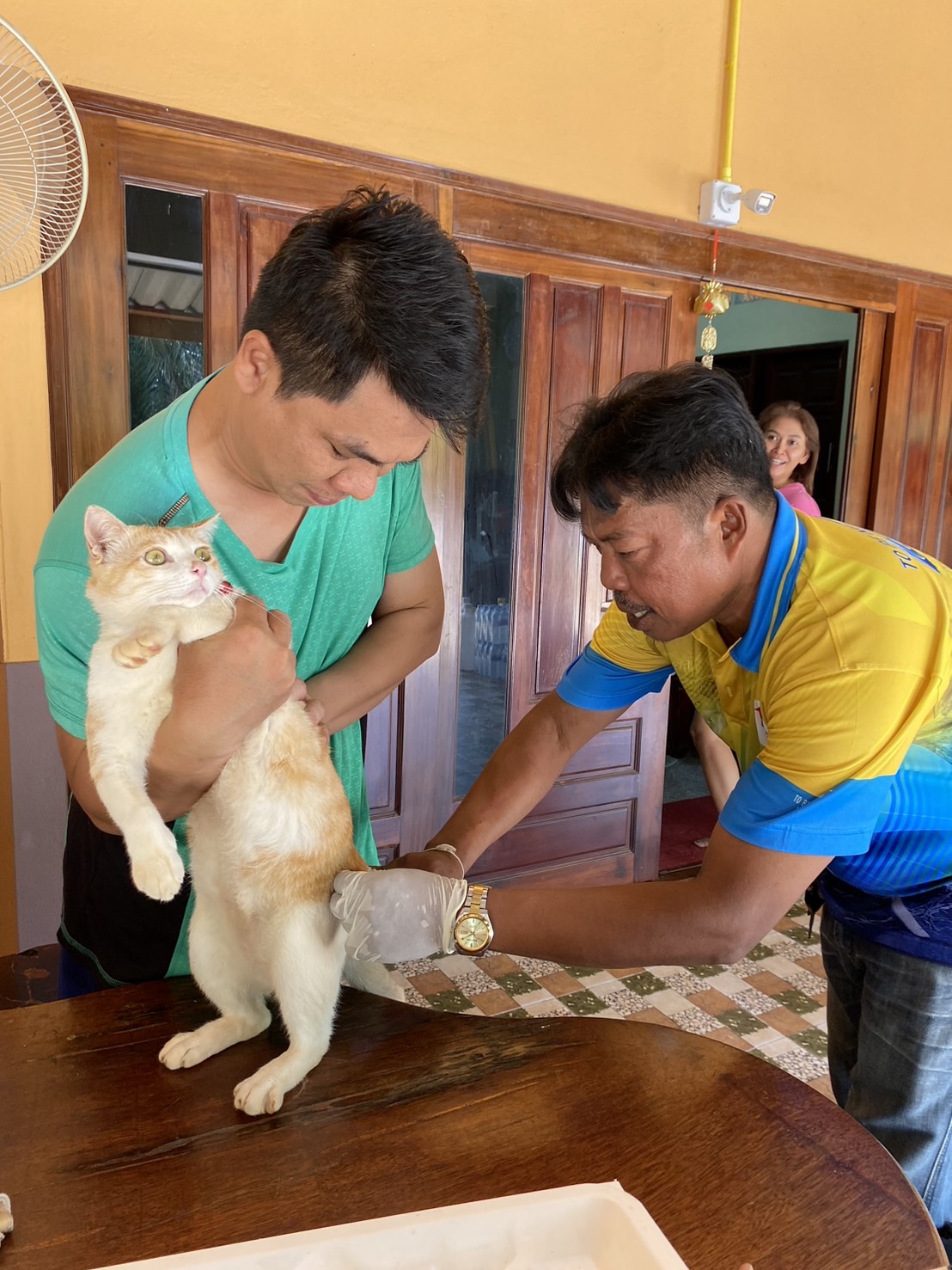 ลงพื้นที่ฉีดวัคซีนป้องกันโรคพิษสุนัขบ้า​ สุนัขและแมวในชุมชน  (หมู่ที่​ 1 บ้านนาปู)