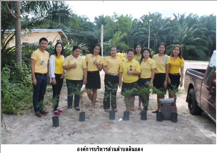  โครงการครบรอบ 70 ปี<br>ปลูกต้นไม้ ถวายพระพร